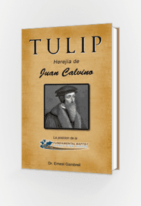 Tulip Herejia de Juan Calvino