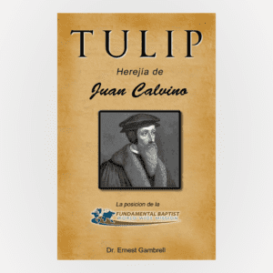 TULIP Spanish